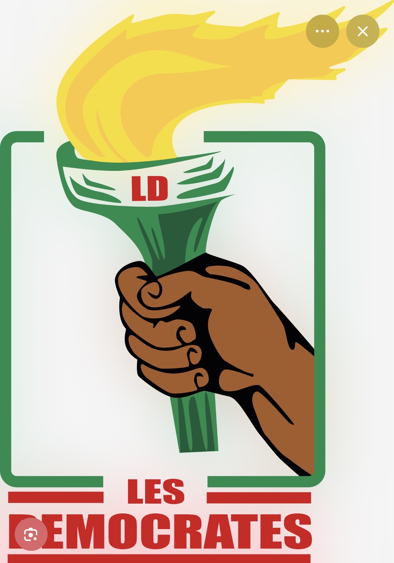 Bénin : Le parti Les Démocrates suspend plusieurs cadres pour indiscipline politique